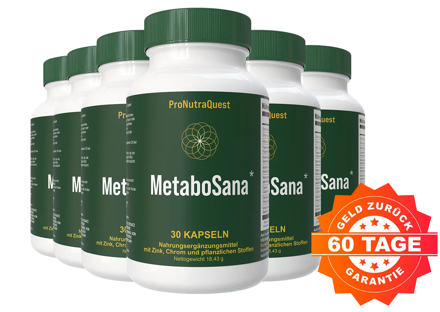 MetaboSana 6 Flaschen